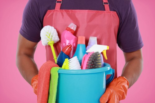 Accessibility support request scenario for Carpet Cleaners SW6 website users