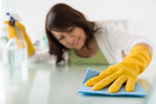 Inspection of a carpet cleaning issue after service